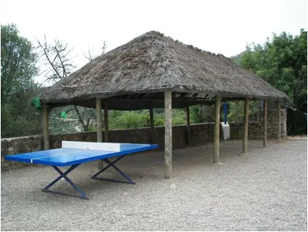 Mesa de ping pong en la naturaleza
